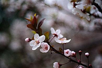 《Dusk》开发者恐怖短篇新作《铁肺》现已正式发售